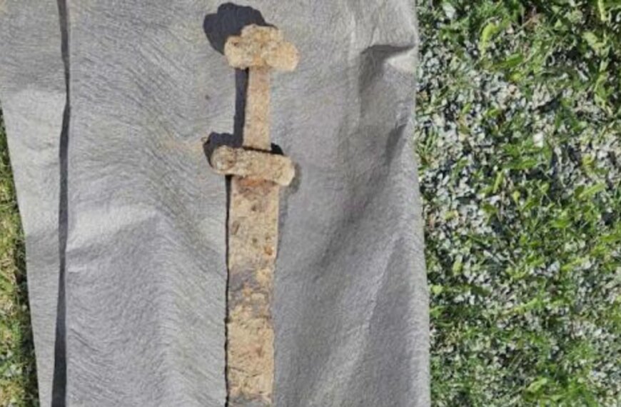 Відкрито меч вікінгів у Норвегії: науковці діляться знахідкою