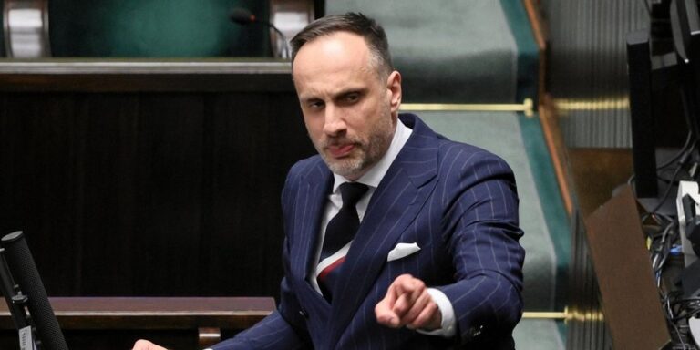 Депутат Сейму закликав українців повертатися: хто він і що відомо про його заяву 5