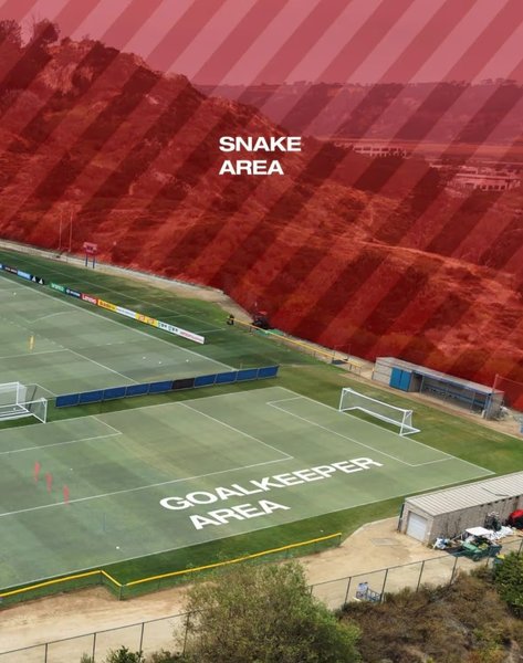 Швейцарська збірна приготувалася до ЧС-2026: несподіваний виклик від рептилій 4 Швейцарська збірна приготувалася до ЧС-2026: несподіваний виклик від рептилій 4