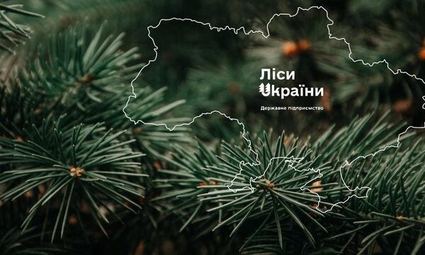“Телент Едвайзорс” виграє тендер на пошук генерального директора ДП “Ліси України”