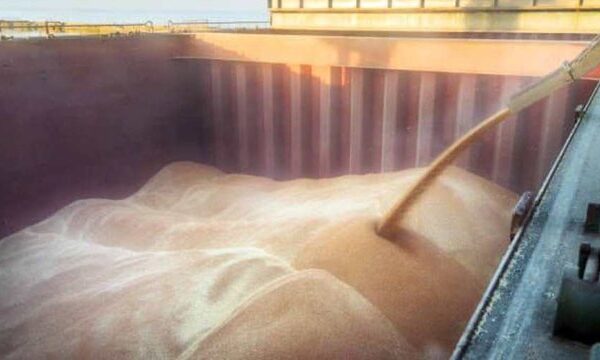 Землероби зібрали близько 10,6 мільйона тонн зернових і бобових нового врожаю з 22% полів.