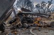 Як Іванківське диво зберегло шедеври Марії Примаченко 72