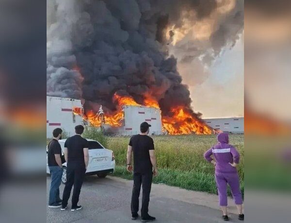 Головна 77 Wildberries у вогні: чому власники втратять гроші через нові правила