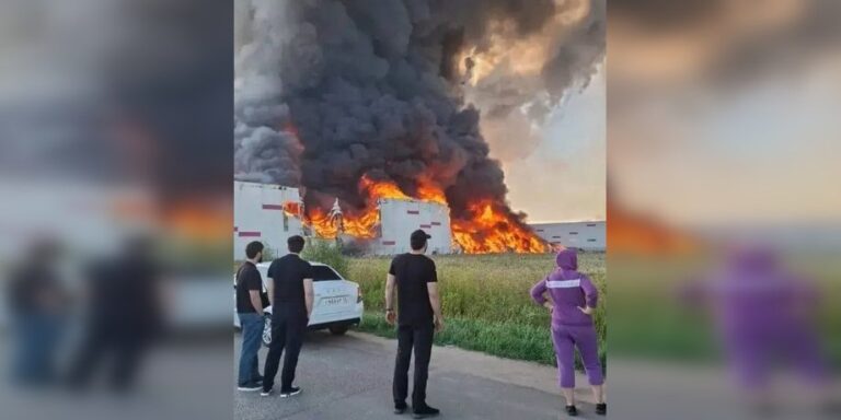Wildberries у вогні: чому власники втратять гроші через нові правила 20