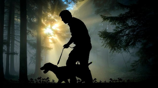 Народні депутати пропонують Верховній Раді внести зміни до законів, що регулюють мисливство, однак активісти захисту тварин висловлюють свою незгоду. 2