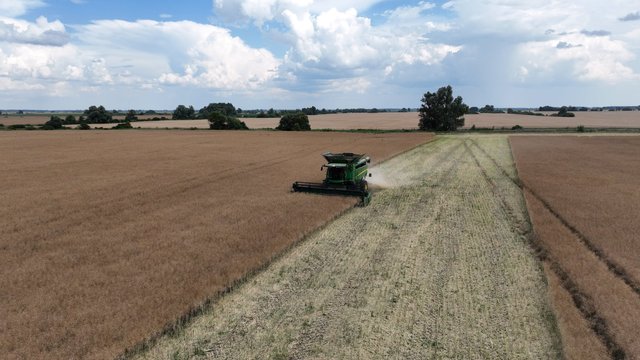 Аграрний сектор збільшив заробітну плату на 10-20%, проте нестача працівників загострюється, – Agrohub