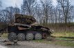 Як Іванківське диво зберегло шедеври Марії Примаченко 75