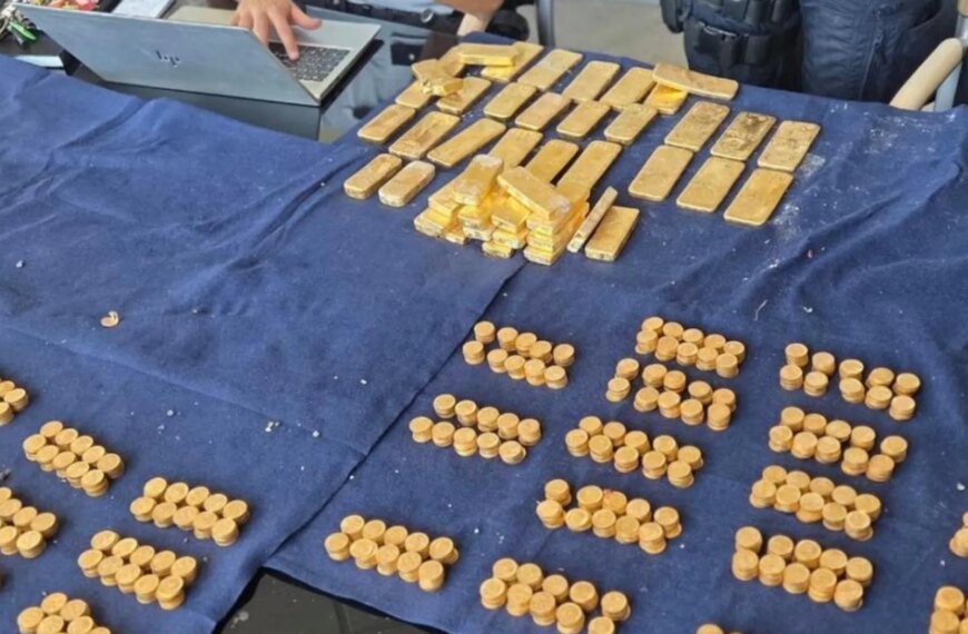 Головна 55 Бельгійські археологи відкопали золото: дивовижні фото знахідки