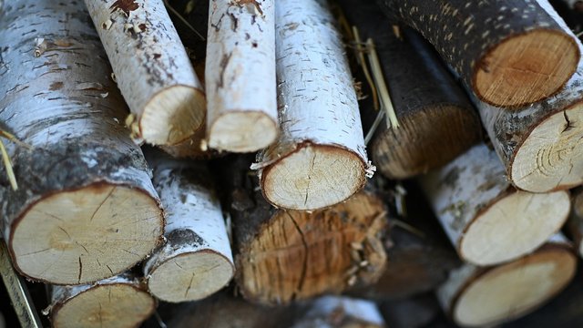 Держава має намір розширити обсяги заготівлі лісу до 15,5 мільйонів кубометрів у 2027 році, а також наростити його переробку.
