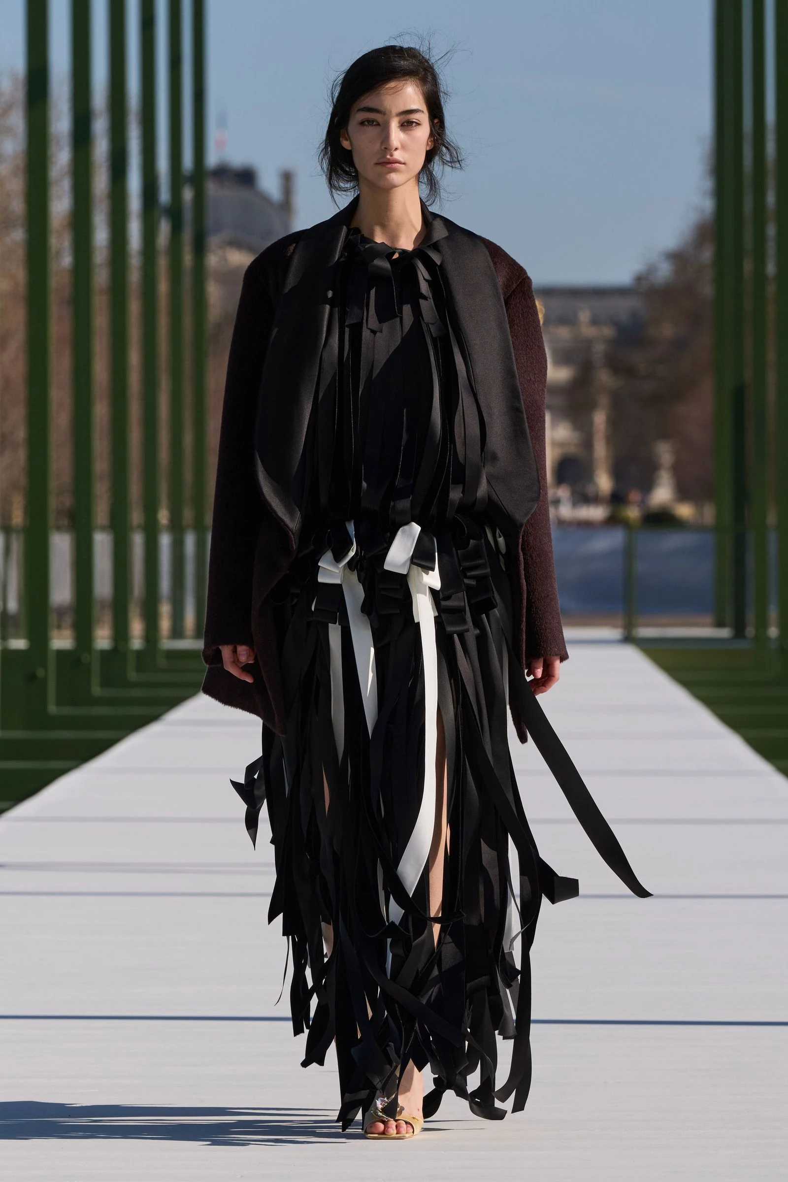 Dior11