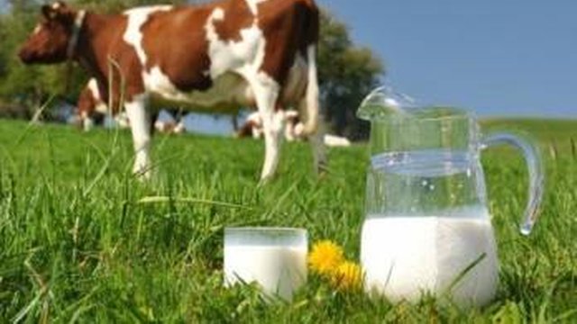 Держпродспоживслужба: 570,7 тис. грн штрафів за 7 місяців за недотримання норм обігу молока 2 Держпродспоживслужба: 570,7 тис. грн штрафів за 7 місяців за недотримання норм обігу молока 2