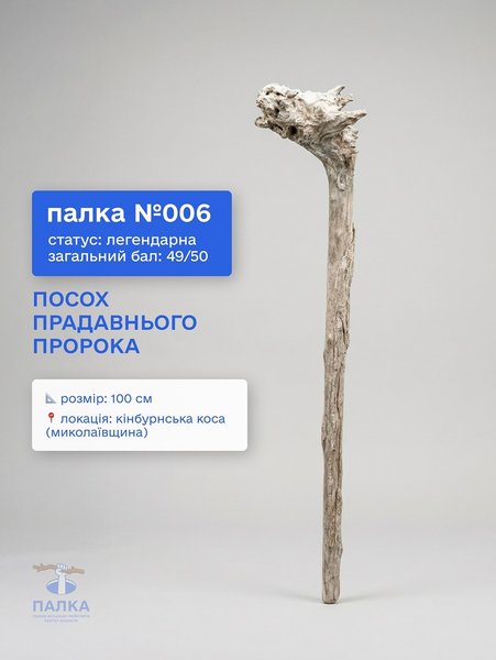 Львів дивує: нова експозиція здивує кожного відвідувача 43