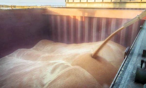 Головна 64 Уряд змінив найменші дозволені ціни для експорту певних сільськогосподарських товарів