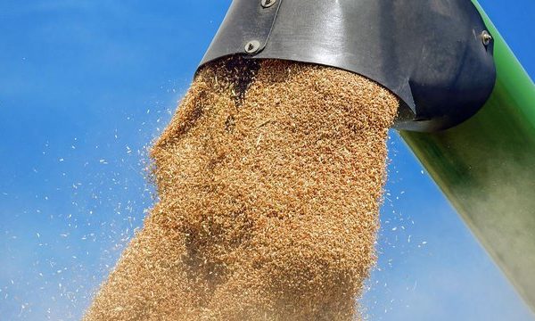 Хлібороби зібрали майже 17,6 мільйона тонн зернових та бобових культур нового врожаю, обмолотивши 34% посівів.