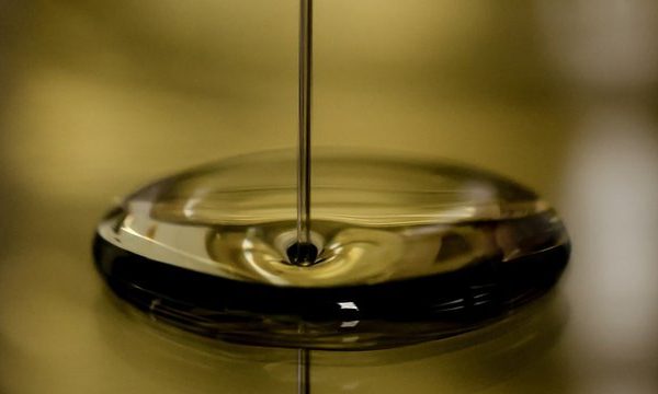 Державна служба України з питань…