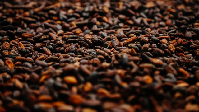 Гана очікує зменшення врожаю какао на 13% наступного сезону 2