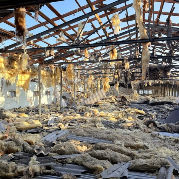 Російський обстріл зруйнував курник агрофірми “Щасливе курча”, де утримувалося понад 20 тисяч птахів.