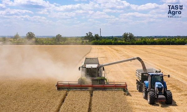 “ТАС Агро” завершило збір ранніх зернових і олійних культур з площі 33,5 тис. га