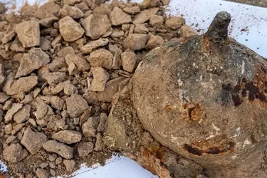 Знайдено 1800-річний щит: археологічне диво в Польщі