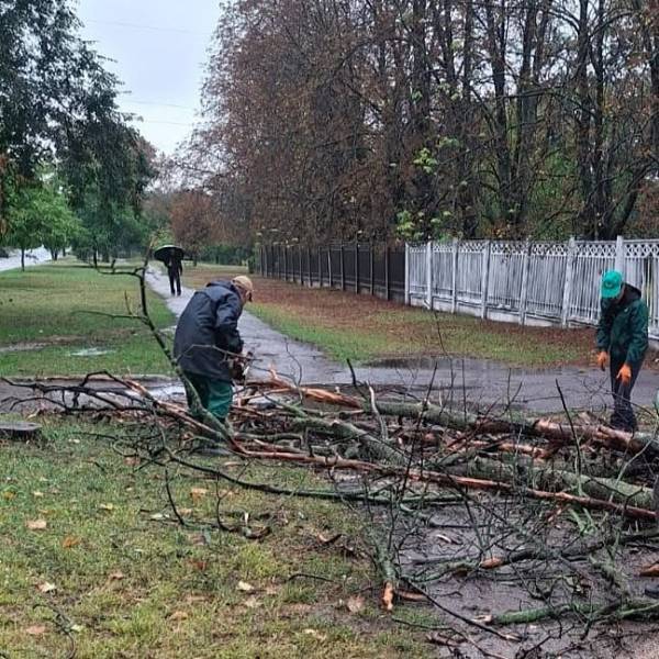Комунальники Харкова ліквідують наслідки негоди: дивіться фоторепортаж 8
