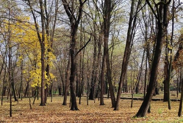 Суд Харкова примусив підприємство повернути громаді 2 гектари землі вартістю 18 мільйонів гривень