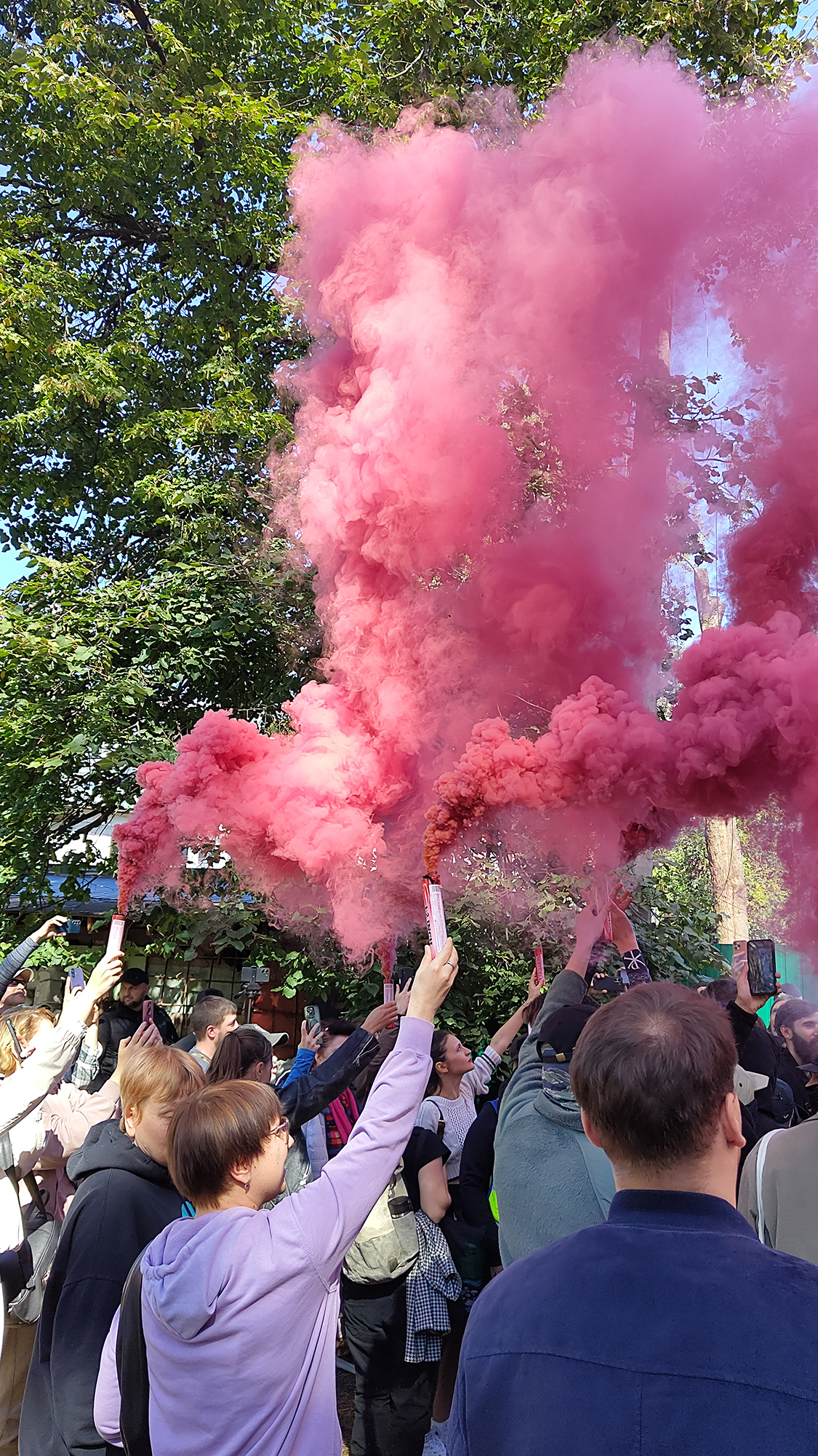 Кияни на Теремках захистили дерева: протест проти будівництва теплотраси переріс у сутички 14