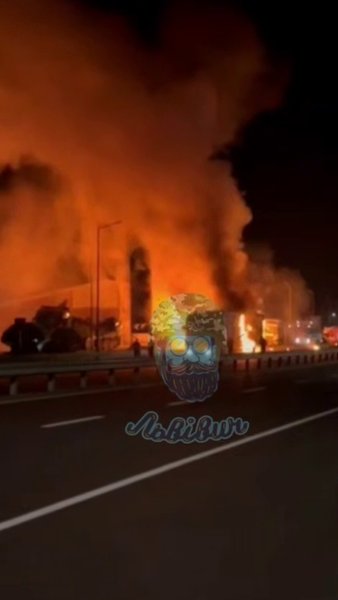 Розпочалася пожежа на АЗС біля кордону: палають вантажівки в Ягодині 5