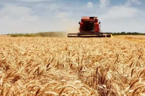 Банківські установи гальмують запровадження нових пільгових кредитів для аграрного сектору, — Марчук