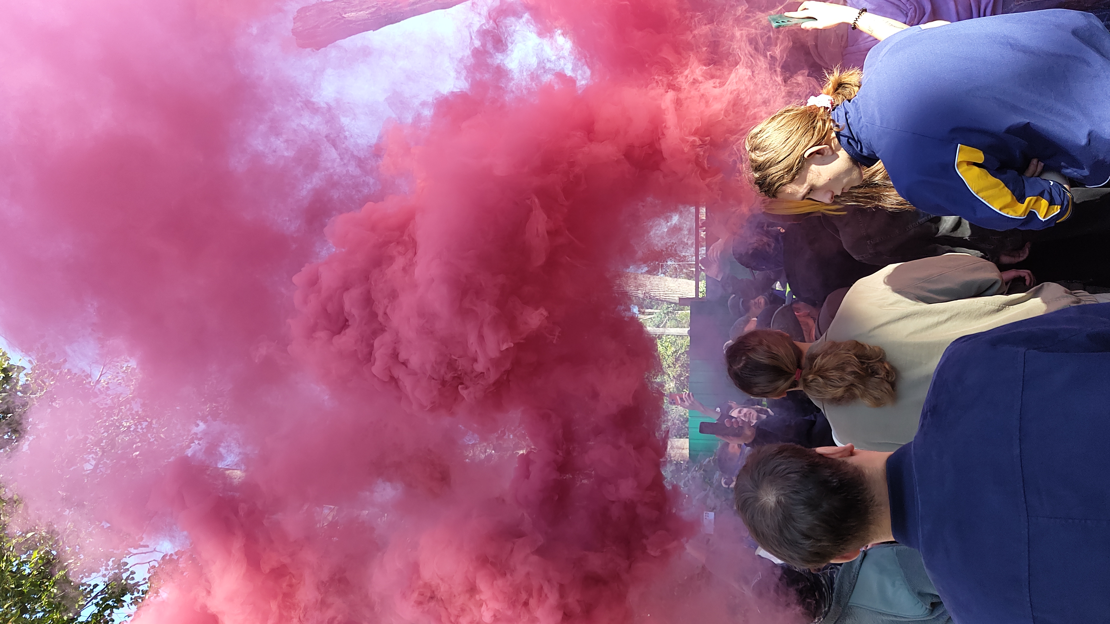 Кияни на Теремках захистили дерева: протест проти будівництва теплотраси переріс у сутички 21