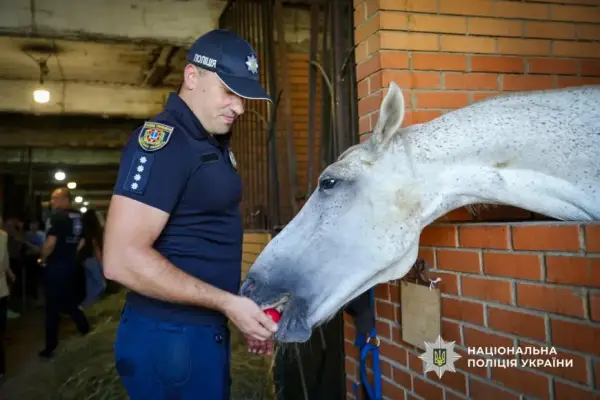 Кінна терапія в Одесі: відновлення для захисників замість лікарняних стін