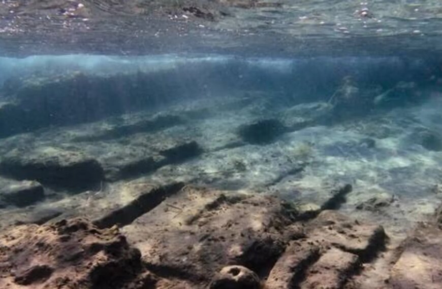 Середньовічне село піднялося з глибин Північного моря: науковці вражені знахідкою